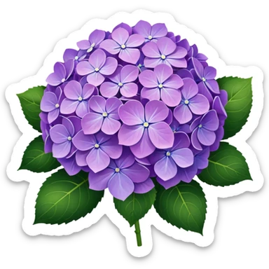 Purple Hydrangea sticker