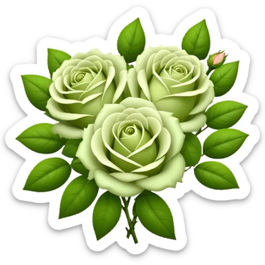 big bouquet Soft Green Tea Rose flower and bud, luxuriant, leaf, bud sticker