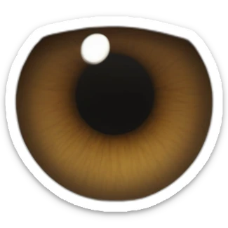 narrowed almond-shaped hazel eyeball with thick black eyelashes  with dark brown eyebrow arched downward sticker