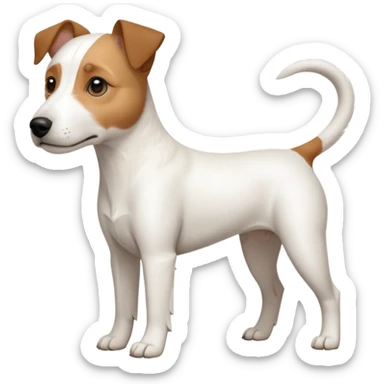 a full body slightly chubby white parson russell terrier looking dog the size of a kelpie with light brown long ears and a light brown patch on one eye and a large snout. the rest of the dog is completely white. forward facing sticker