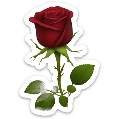 Dark red rose sticker