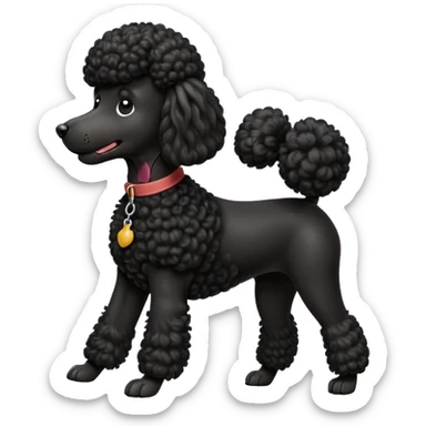 A high-resolution digital illustration of a black poodle in a clean, semi-realistic style. The poodle is shown from the chest up, facing forward with a slight tilt of the head to the left, tongue out playfully. sticker