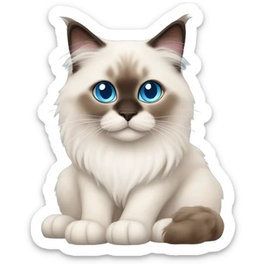 himalayan ragdoll cat with light blue eyes and brown ears brown paws and nose  sticker