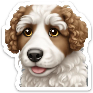 A curly hair doodle puppy with both brown and white face but a white body sticker