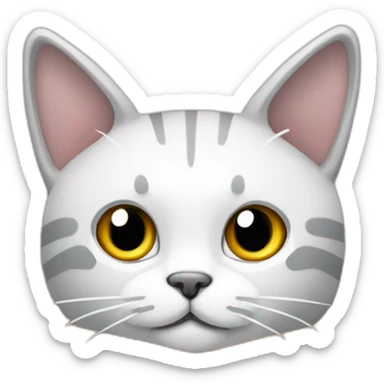 Gato blanco y gris con orejas puntiagudas asomando cabeza desde caja de carton sticker