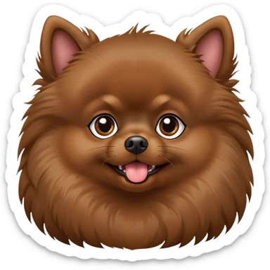 Dark brown Pomeranian with pointed ears and tongue sticking out. He sits sideways and doesn't look at me, but his eyes are looking up at me.  sticker