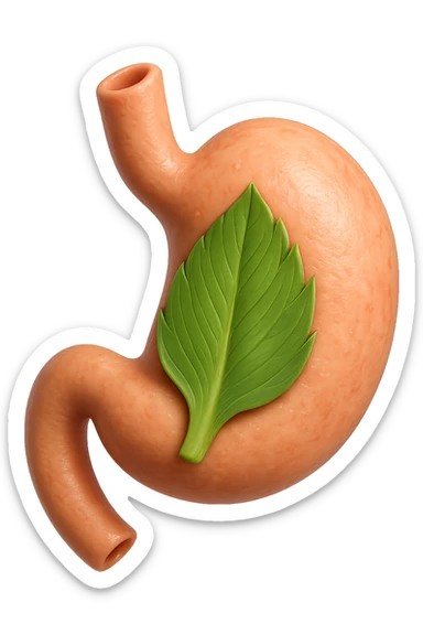 emoji stile iphone 3d di uno stomaco umano con una foglia di carciofo dentro, iperrealistico 4k sticker