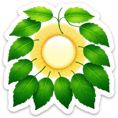 sun peaking through tree leaves  sticker