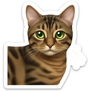 brown torbie cat with green eyes sticker