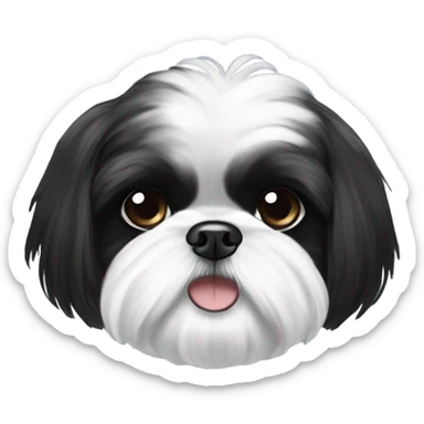 Black and white Shih Tzu with a black head ￼ sticker