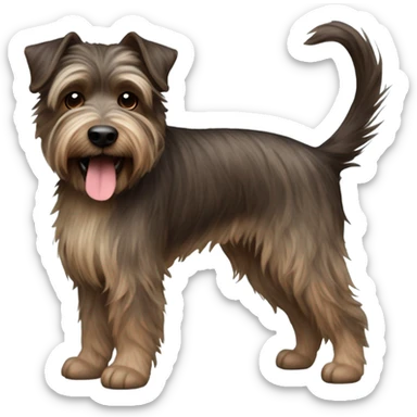 a dark brown haired brindle color terrier with crazy hair and long chin hair name Bon Jovi sticker