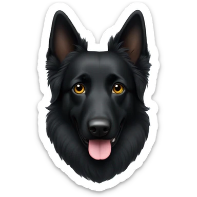 black groenendael belgian shepherd with a small white spot in the middle of the head sticker
