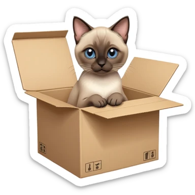  A very cute gery young kitten Siamese Cat cat with one's head tilted to one side poked its paws out of the cardboard big box and placed them on top of it sticker