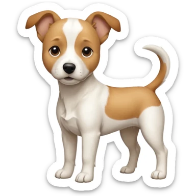 a full body facing front on of a buff white beagle cross jack russell terrier looking dog the size of a kelpie with light brown long ears resting on its face and a light brown patch above one eye and a large snout. the rest of the dog is completely white.  sticker