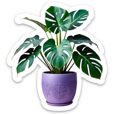 A stunning monstera plant with deep violet-green leaves, each leaf elegantly veined with subtle shades of purple, creating an ethereal glow. The plant is flourishing in a beautifully crafted lavender ceramic pot with intricate embossed floral patterns. The background features a softly blurred, moody violet gradient, enhancing the plant’s lush aesthetic. Delicate strands of ivy and tiny lavender blossoms cascade around the pot, adding depth and harmony. Soft, diffused lighting casts a gentle glow, emphasizing the plant’s unique coloration and creating a dreamy, artistic composition. sticker