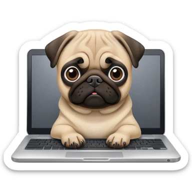 pug in front of laptop sticker