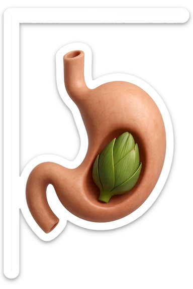 emoji stile iphone 3d di uno stomaco umano con una foglia di carciofo dentro, iperrealistico 4k sticker