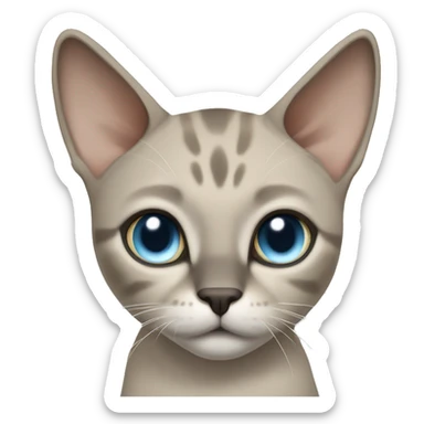 Thai breed adult cat with a light cream-brown body, dark gray nose and face, ears, and paws. sharp ears, and striking light blue eyes  sticker