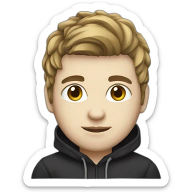 web developer in black hoodie ,white skin, hairtail and computer sticker