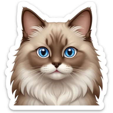 cinematic-fluffy-brown-ragdoll-cat-portrait-emoji,-head-tilted-cutely-with-big,-sparkling-blue-eyes,-soft-brown-and white-colored-fur-with-darker-points-on-the-ears,-face,-and-paws,-simplified-yet-irresistibly-adorable-features, sticker