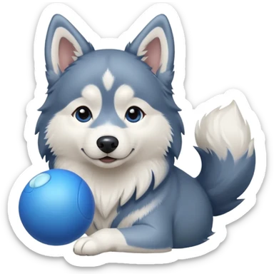 long hair Husky with a blue ball sticker