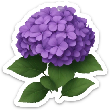Dark purple hydrangea sticker