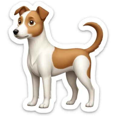 a full body large white parson russell looking dog the size of a kelpie with light brown ears and a light brown patch on one eye and a large snout sticker