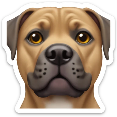 Staffy x bull mastiff face sticker