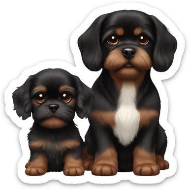 Brown Dachshund and black fluffy shih tzu puppy together sticker