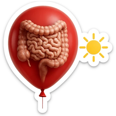 intestino umano anatomico chiuso in un palloncino rosso che simboleggia gonfiore, accanto un simbolo di sole che simboleggia "gonfiori di mattina", iperrealistico 4k sticker