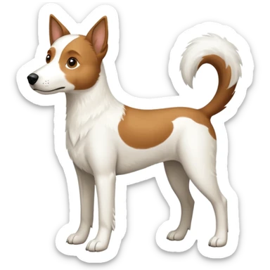 a full body large white parson russell looking dog the size of a kelpie with light brown ears and a light brown patch on one eye and a large snout sticker