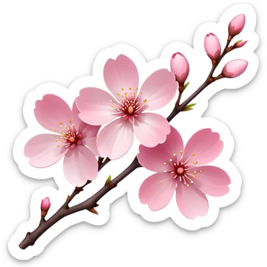 Single elegant pink cherry blossom (sakura) flower on a branch with soft pink petals, delicate shape, and subtle gradient sticker