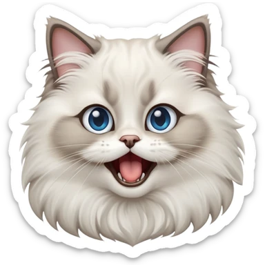 cinematic-adorable-big-eyed-fluffy-ragdoll-cat-portrait-emoji,-head-tilted-playfully-with-a-cute,-exaggerated-yawn,-white and grey fur,-simplified-yet-irresistibly-cute-features, blue eyes sticker