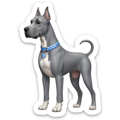 Gray Great Dane with thin white and blue toile collar on  sticker