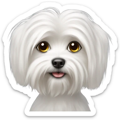 Maltese dog sticker