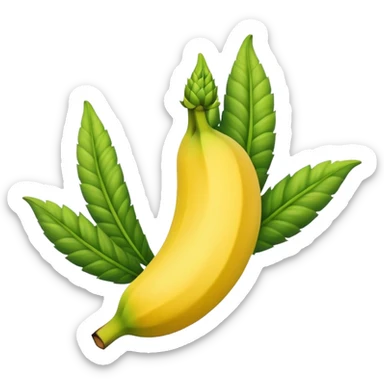 banana weed strain with a cannabis leaf accent sticker