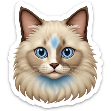 Ragdoll cat, with dark brown center face area with surrounding beige fur, bright blue eyes sticker