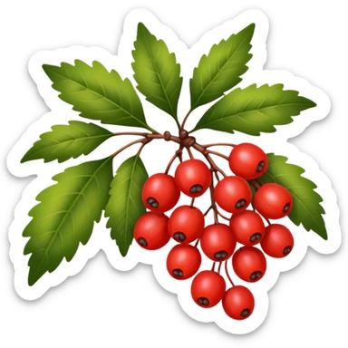 rowan/mountain ash berries, simple sticker
