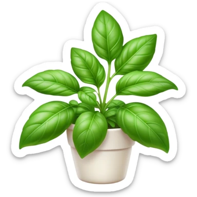 Cinematic Realistic Basil Emoji, Lush and fragrant, with vibrant green leaves that release a fresh, herbal aroma. The soft, glossy leaves are delicately arranged along slender stems, exuding vitality and flavor. Soft glowing outline, capturing the essence of freshness, growth, and aromatic delight in a blossoming basil plant! sticker