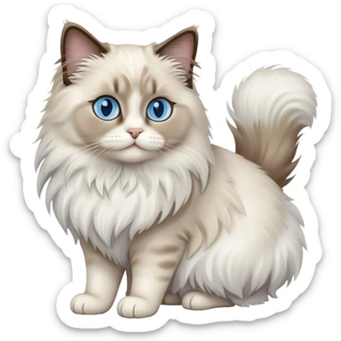 Ragdoll cat sitting full body sticker