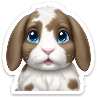 blue eyed brown and white spotted holland lop bunny sticker