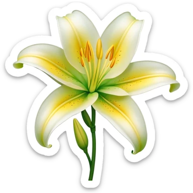 Cinematic Realistic Lily Emoji, Elegant and fragrant, with soft, white petals curling delicately around a golden-yellow stamen at its center. The long, slender green stem stands tall, supporting the vibrant bloom with its slightly curled tips. Soft glowing outline, capturing the essence of purity, elegance, and grace in a striking lily. sticker