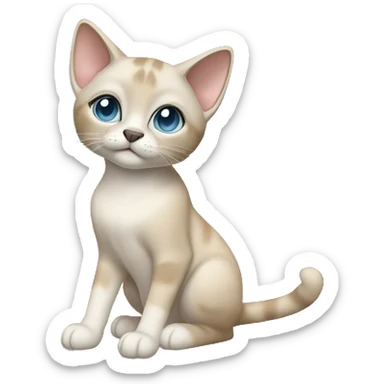 Thai breed adult cat with a light cream-brown body, dark gray nose and face, ears, and paws. sharp ears, and striking light blue eyes  sticker