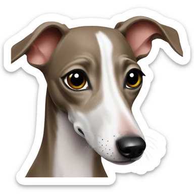 Italian greyhound sticker