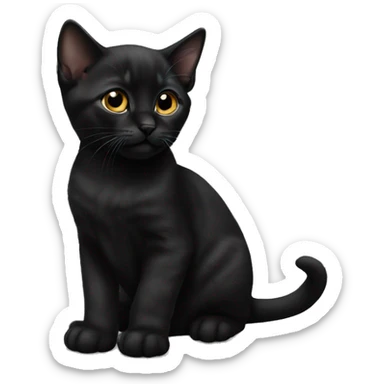 Black Bombay kitten laying sticker