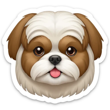 Shihtzu dtehen braun-weiss in einem Herz sticker