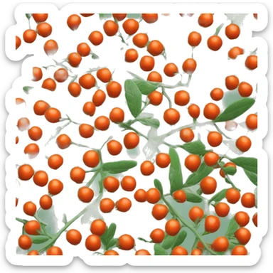 ashwagandha flowers with orange-red berrie sticker