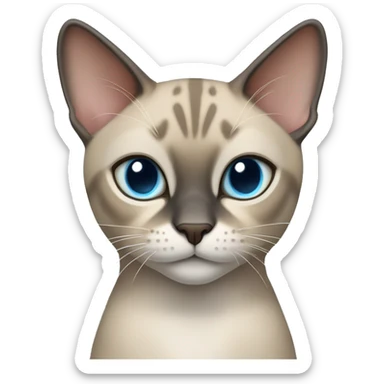 Thai breed cat with a light cream-brown body, dark gray face, ears, and paws. Short fur, sharp ears, and striking light blue eyes with an intense gaze. sticker