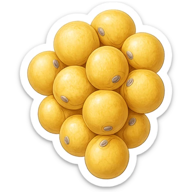 CELLULA DI GRASSO (ADIPOCITA) GIALLA A GRAPPOLO sticker