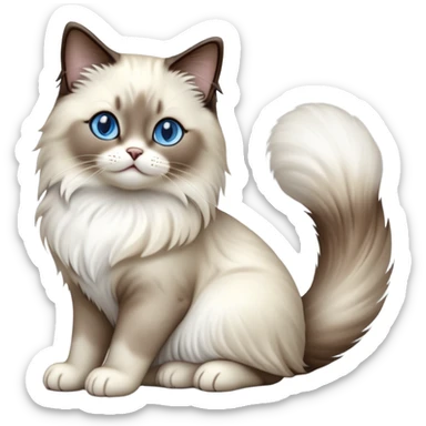 Cinematic-Seal-Ragdoll-Cat-Realistic-Full-Body-Sitting-Emoji – Tail curled playfully around its paws, head tilted dramatically, fluffy brown-and-white fur with darker seal points, simplified yet realistic focused features, highly detailed, glowing with an almost sarcastic glow, piercing blue eyes radiating elegance and charm. sticker